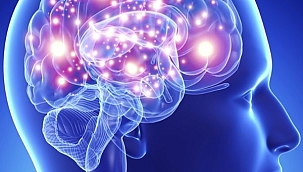 Beynin Kendini İyileştirme Yeteneği Öğrenme Güçlüğüne Umut Oluyor